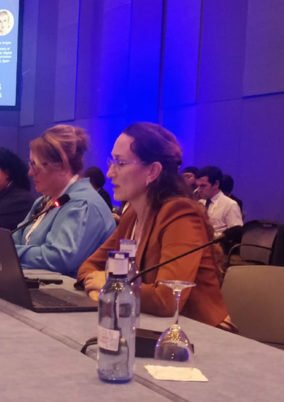 La ADC debatió sobre derechos en la era digital en la Conferencia Ministerial sobre Economía Digital de la OCDE